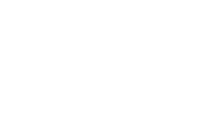 Besi
