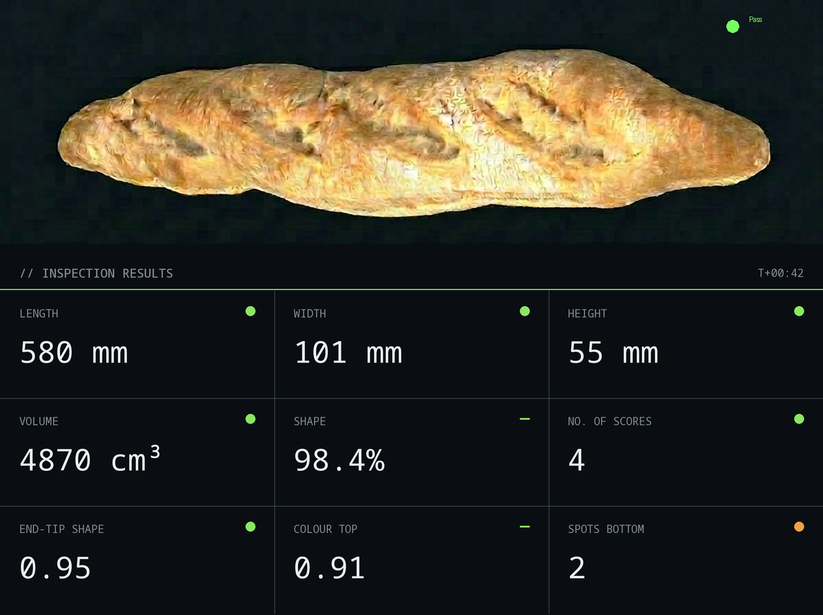 Real-time inspection software