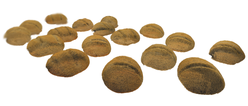 Voxel stream of bread rolls